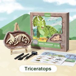 Ausgrabung von Dinosauriern - Triceratops